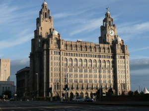 liver building